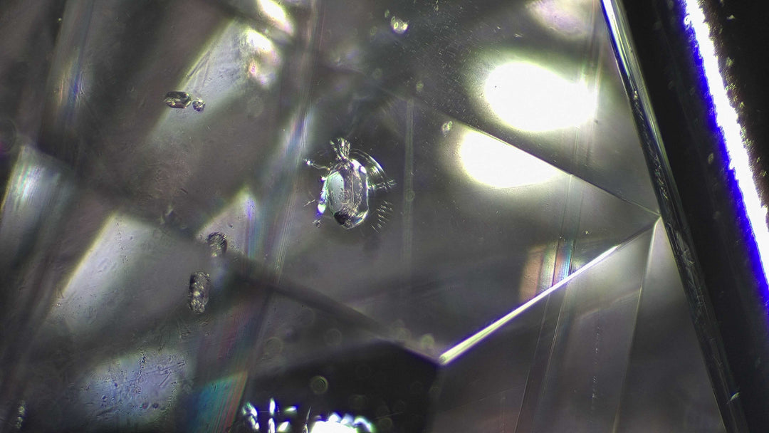1.6 ct Silvery Lemon Umba Sapphire Kite - Fantasy Cut - 8.1x67mm Sennin Esko Jewelry Beads, Blue Sapphire, Craft Supplies & Tools, Cushion Sapphire, Fantasy Cut, Fantasy Cut Sapphire, G Ready To Ship Gemstones