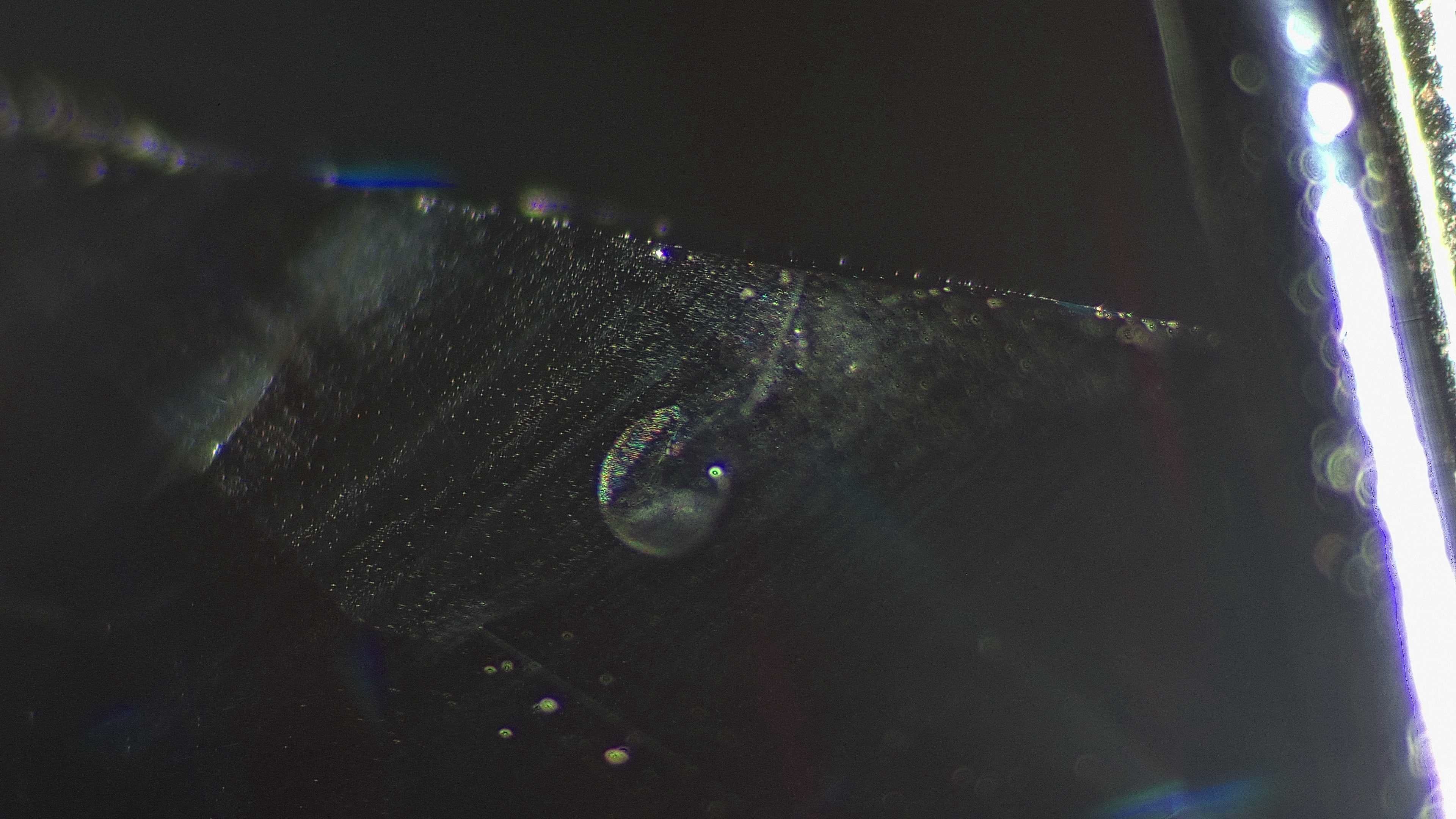 1.24ct Inky Blue Sapphire Hexagon - Fantasy Cut 7.7x4.9mm – Sennin