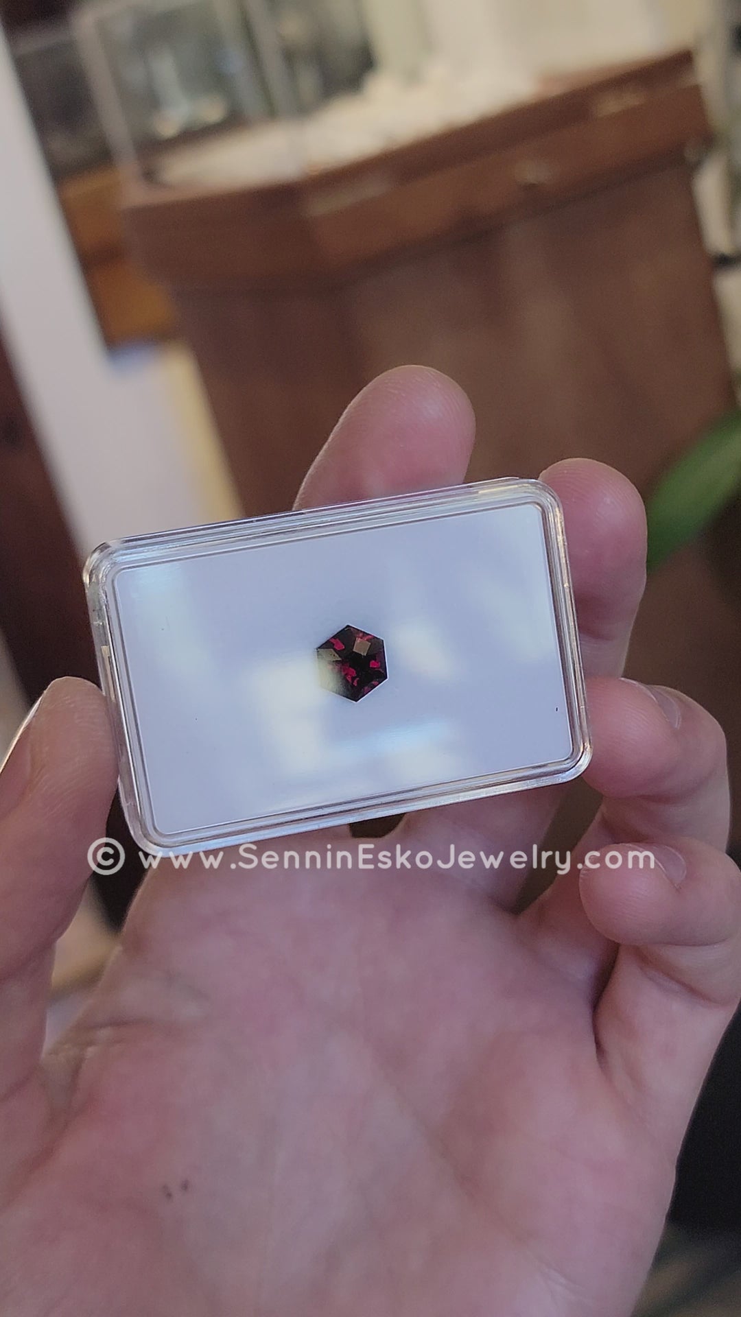 3.4 Carat Deep Red Garnet Hexagon - 9.3x8.1mm