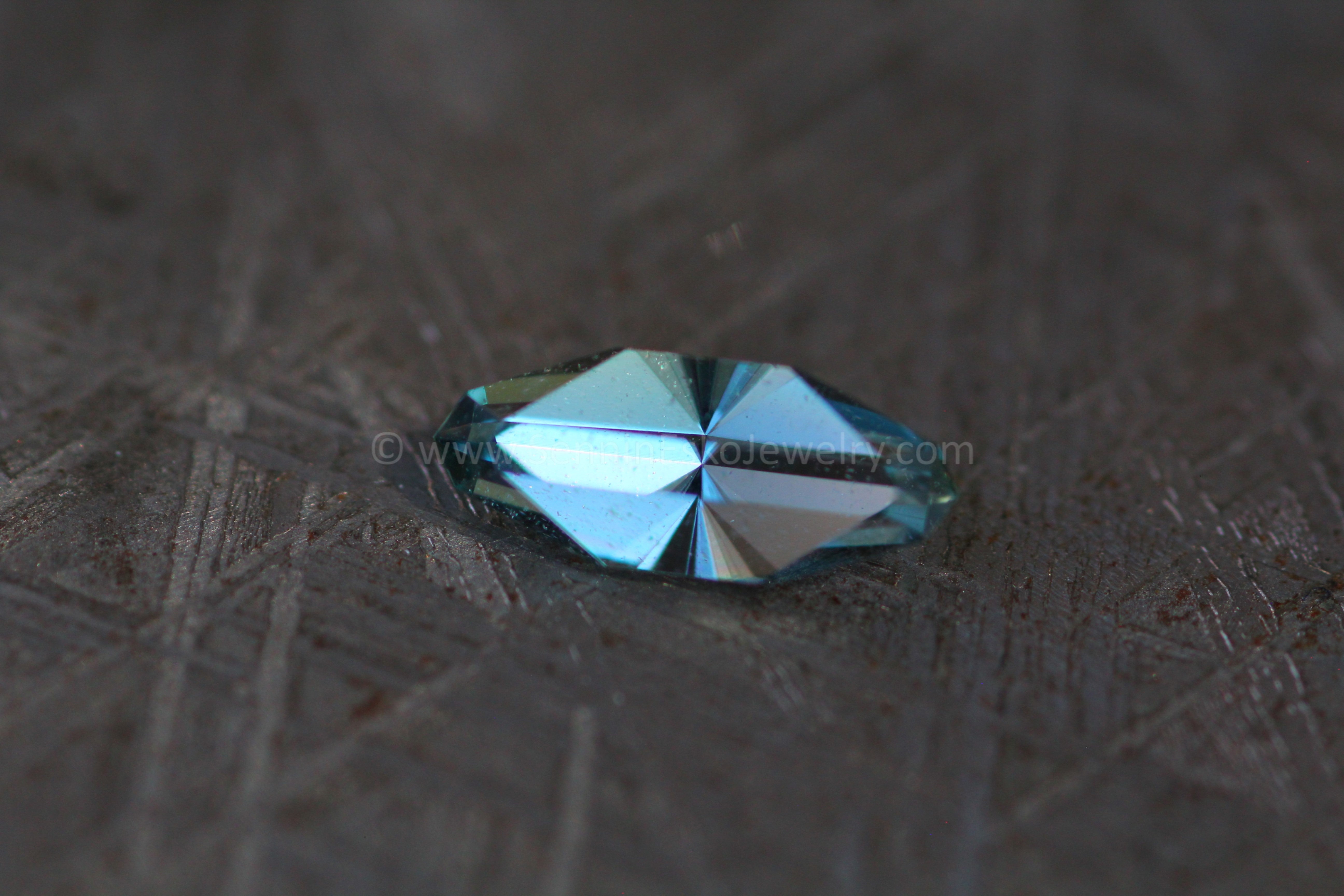 #『Southern blue 』　カノコダカラ貝 Southern blue 』 カノコダカラ貝
