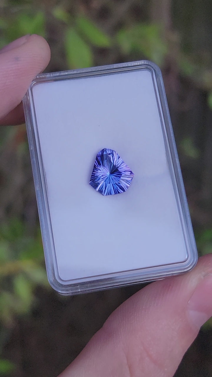 Cerf-volant Tanzanite bleu/violet 5,77 carats - 12,4x11,6 mm - Coupe fantaisie